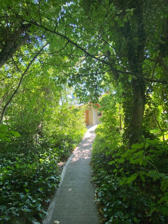 Altos Del Sur Cabanas De Montana เอลโบลซอน ภายนอก รูปภาพ