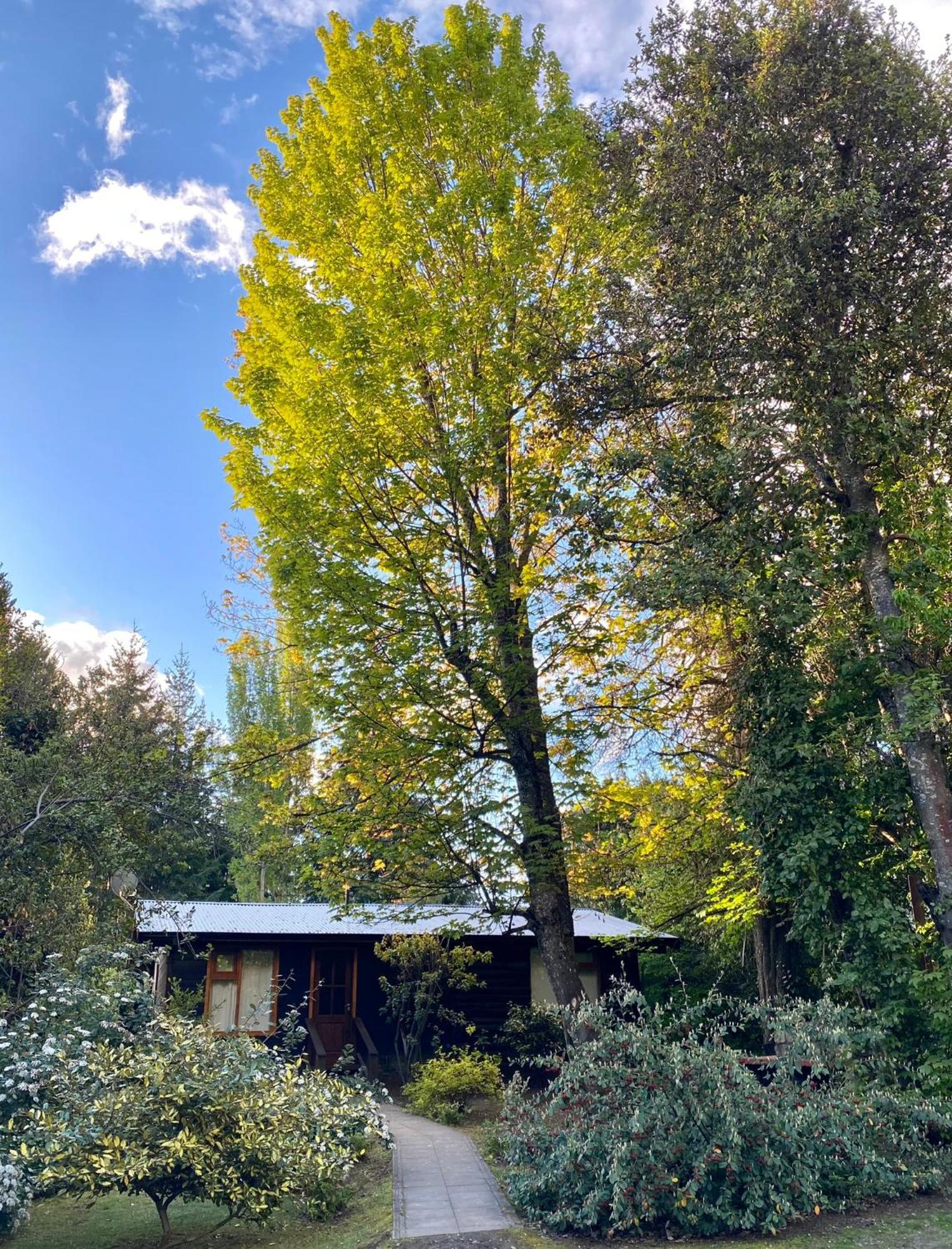 Altos Del Sur Cabanas De Montana เอลโบลซอน ภายนอก รูปภาพ